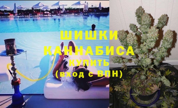 тгк Алзамай