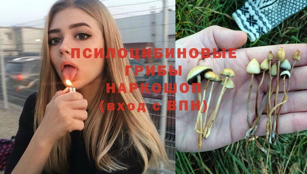 прущие крисы Алексин