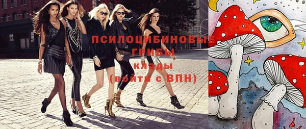 тгк Алзамай