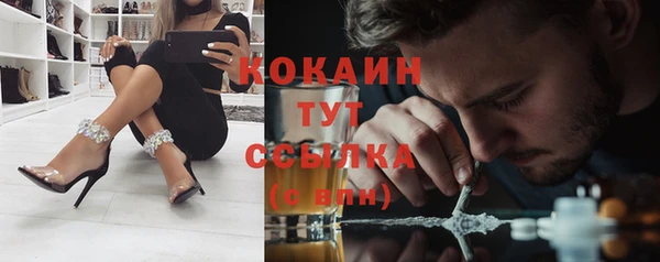 тгк Алзамай