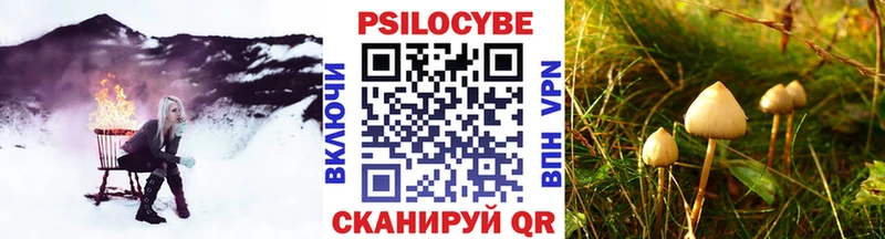 сайты даркнета Telegram Ликино-Дулёво Псилоцибиновые грибы мухоморы